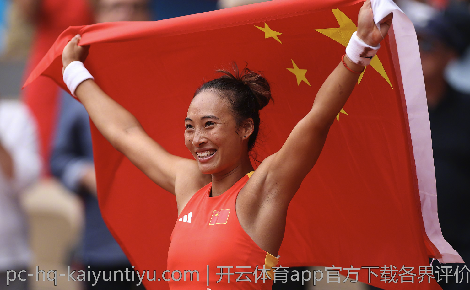 开云体育app官方下载各界评价综述