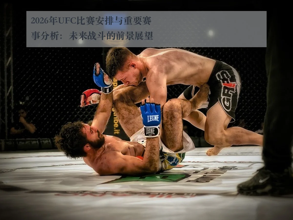 2026年UFC比赛安排与重要赛事分析:未来战斗的前景展望